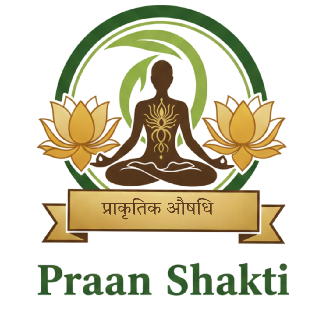 Praan Shakti